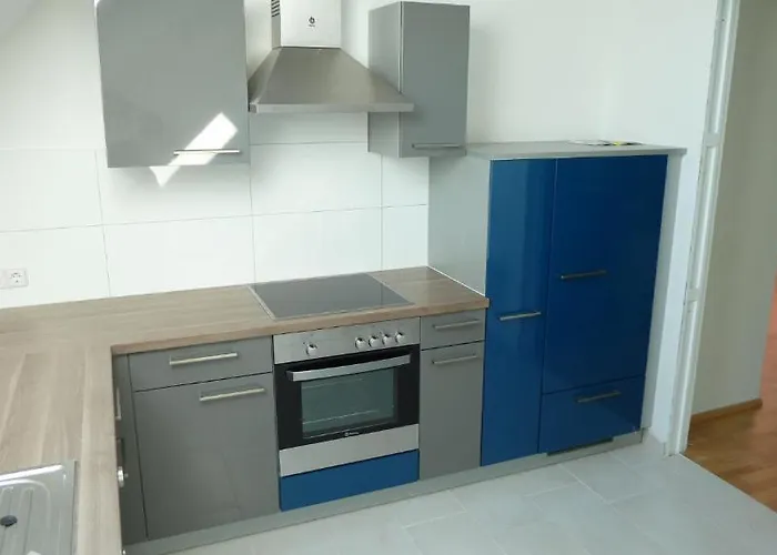 Spacious Penthouse Vindobona, Panorama View To Danube River & Vineyard Daire *