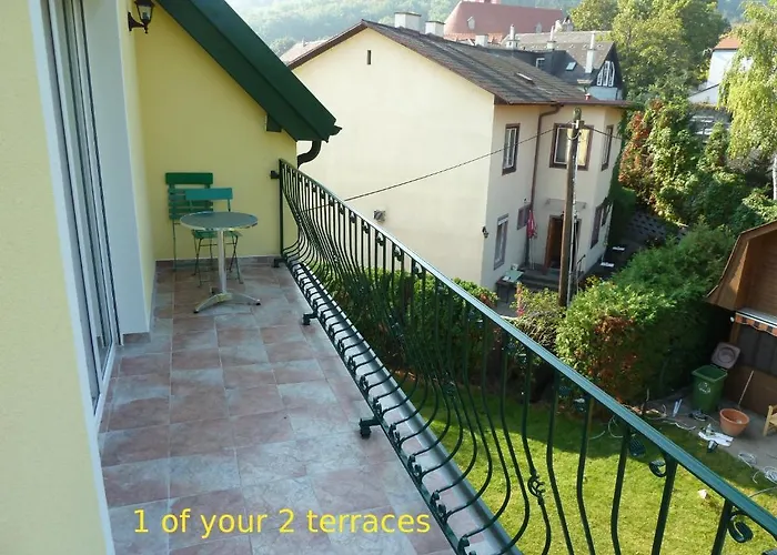 Spacious Penthouse Vindobona, Panorama View To Danube River & Vineyard