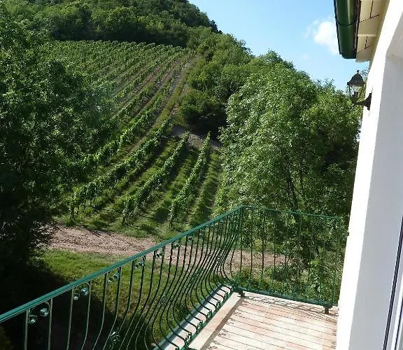 Spacious Penthouse Vindobona, Panorama View To Danube River & Vineyard Viyana